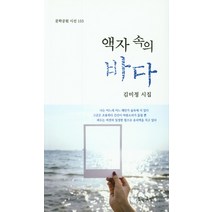 액자속의 바다:김미정 시집, 문학공원