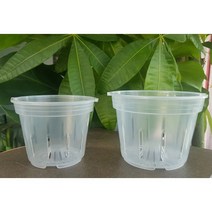 (2셋트 10+1) 슬릿통기팟 투명통풍화분 투명통기화분 호접란 통기팟 원형 통품화분 서양난 동양란 관엽식물 뿌리확인