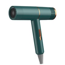 팻트라이룸 애견 드라이기 전문가용 블루레이 음이온 헤어 드라이어 220V 가정용 강력한 지속적인 전기, 02 green_02 EU