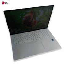 LG 17그램 i5 11TH SSD 512GB Iris Xe 고성능 QHD 노트북