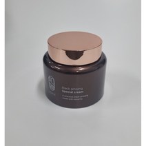 참존 지안 역작 크림 100ml