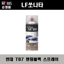 순정품 현대 LF쏘나타 TB7 팬텀블랙 스프레이 자동차 차량용 도색 카페인트, TB7 팬텀블랙 스프레이(모비스)