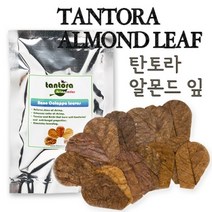 (네로앤펫) 탄토라 알몬드잎 Nano 15장 번식력 스트레스 감소, 탄토라 알몬드잎 NANO (15장)