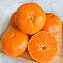 [제주직송]당도선별 레드향 1.5kg/2.5kg/4.5kg, 레드향(중소과) 1.5kg (10-13내외)