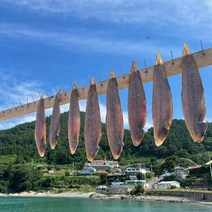 대아씨푸드 여수 국산 서대 박대 반건조 생선 큰사이즈, 서대 중 5미(국산))
