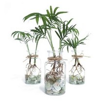 화분월드 백자갈 꿈돌 강자갈 흑자갈 칼라스톤 에그스톤, 옥자갈1호(1kg)