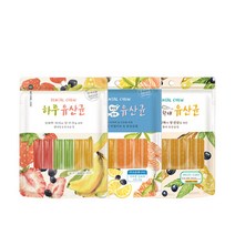 네츄럴코어 하루유산균 강아지 치아건강 껌 12P, 과일혼합 12P