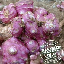 친환경 국산 무농약 말린 건돼지감자 500g, 상세페이지 참조