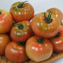 [순수토마토] 행복한 농부 정품 찰토마토 3kg/5kg 토마토 드시고 건강하세요, 찰토마토(3번/중), 찰토마토5kg(3번/중)