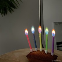 베르트폴 무지개초 레인보우초 나혼자산다 화사초 케이크초 파티초 생일초