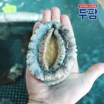 두팜 살아가는 완도 대 전복 1kg 꼬마전복 1kg, [특대] 8-9미 전복 1kg