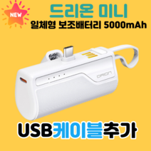 엑티몬 드리온 일반 고속 일체형 미니 보조배터리 모음 + 방수팩, 드리온 일반 C타입