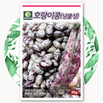 호랑이강낭콩 씨앗 30G 강낭콩 곡물 종자 비넝쿨 토종
