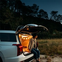 울프라운치 차박텐트, L(7인승_쏘렌토등), 블루