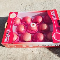 밀양 얼음골사과 5Kg, 얼음골사과 5kg (13과)