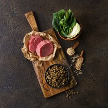 힐링펫 강아지사료 RESET 소고기사료 400g, 5개 (10%할인)