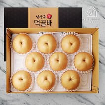 웰굿 [웰굿]남양주 명품 먹골배 선물세트(7.5kg8-10과대-왕특과), 1