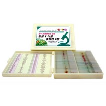 영구 프레파라트 동물과 식물 종합편 A형(100pcs) sup-c543