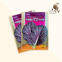 미래웰빙 적갓 겨자채 2000립 미래종묘 잎채소류 씨앗