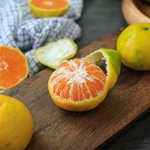 제주 노지 감귤 GAP 극조생, 5kg