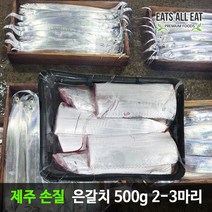 이츠올릿 제주 손질 생물 갈치 500g 2마리 제주도 서귀포 제철 은갈치 구이 선물 특산품