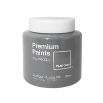 노루페인트 팬톤 스틸그레이 300ml, 단품, 1개