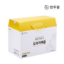 연두팜 아빠의주스 도라지배즙 100ml 40개입 한박스