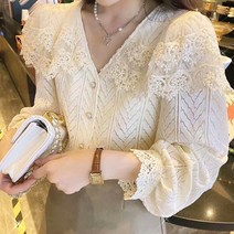 [랜덤플레이] 카라 소매 펀칭 포인트 레이스 블라우스