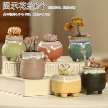 다육화분 다육이 심폴 화분 식물 미니 화분세트, 도자기, 옵션9