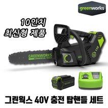 그린웍스 40V 충전 탑핸들 체인톱 전기 충전 10인치 가벼운 톱 가지치기 단품 세트, 5ah 1팩세트 <5ah배터리1개/급속충전기1개 포함>