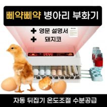병아리 부화기 육추기 미니메추리 유정란 계란 부화 키우기 분양, 48란