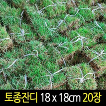 청송군잔디판매 TOP20 인기 상품