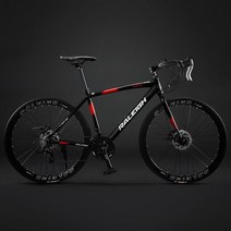 RALEIGH 로드 바이크 자전거 학생 출퇴근 입문용 30만원대 선물, 24단, B