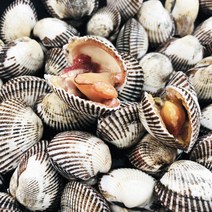 남도의향기 벌교 꼬막 새꼬막, 5KG(사이즈혼합)