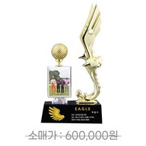 이글패 홀인원패 각종골프패