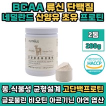 고단백 여자 프로틴 류신 초유 단백질 동물성 식물성 혼합 분말 파우더 헬스 운동 후 마시는 쉐이크 드링크 산양유 프로테인 필수아미노산 BACC 류신 발린 이소류신 노인 추천 보충제