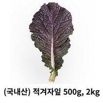 적겨자잎 500g 2kg 국내산 산지직송 겨자잎 생겨자잎 쌈채소 적 적겨자 모듬쌈채소 유럽샐러드 샐러드채소 엽채류 쌈채 구이용쌈, 1box