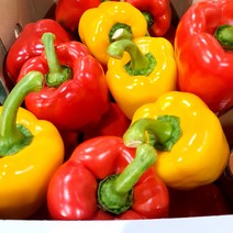 새벽들 못난이 파프리카 (3kg 5kg), 1box, 3kg혼합