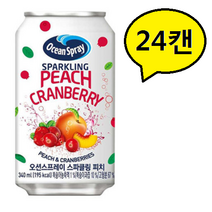 오션스프레이 스파클링피치 340ml * 24캔