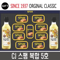 CJ 제일제당 스팸 복합5호 선물세트 + 선물용가방, 1개