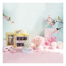 핫트랙스 Via K studio 봄 프로모션spring p해피 해피 데이지콘 LED