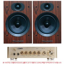 사가 DAC앰프 DX500+와피데일 AM20.1 앰프패키지, 추가안함