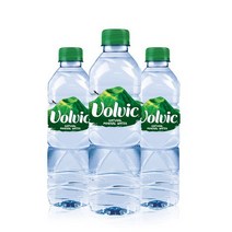 볼빅 생수 Volvic 500mlX24PET, 없음, 1개