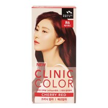 꽃을든남자 크리닉 칼라 R6 체리레드, 색상:단일상품