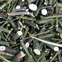 간에 좋은 정선 가리왕산 산청목 토종 벌나무(2kg), 2kg, 1개