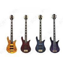 초보자 일렉기타 베이스기타, 타이거 아이 옐로우