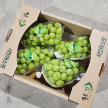 [농장직송] 프리미엄 샤인머스켓 고당도 망고포도 선물세트, 샤인머스켓 4kg (4-5수), 1박스