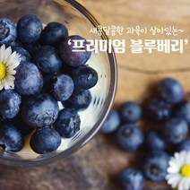 블루베리 생블루베리 1kg [영화농산] 안토시아닌 항산화질 식이섬유 눈 젊음 월귤나무 북반구 칼슘 철 산지직송 프리미엄, 상세페이지 참조