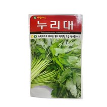 누리대 씨앗 20립 [23년포장] 고급 산나물 누룩치 종자