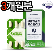 프롬바이오 관절연골 엔 보스웰리아 850mg x 30정 이병헌보스웰리아 보스웰리아효능 홈쇼핑보스웰리아 관절에좋은음식 뼈골절에좋은음식 무릎관절 영양제 추천 알약케이스, 3개월분